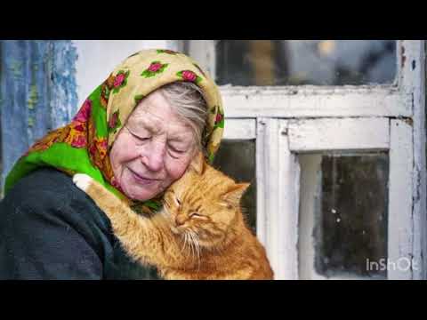 Видео: ВОЗВРАЩЕНИЕ КОТА ВАСИ В ДЕРЕВНЮ.