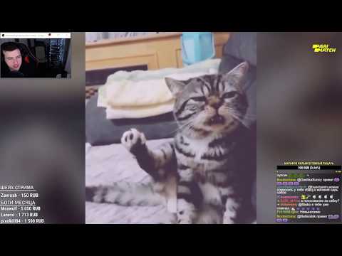 Видео: "le zap de cocaïn" Реакция Сергея Hell Yeah