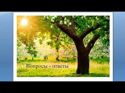 Видео: Обрезка деревьев от А до Я: Ответы на вопросы. Отвечает Николай Рабушко. ©
