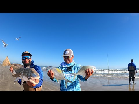 Видео: Рыбалка с прибоя в Техасе на помпано (поймать и приготовить) в Корпус-Кристи