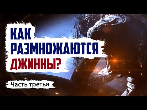 Видео: Как размножаются джинны? Какими сверхспособностями они обладают? | Джинны #3 | Время покаяния