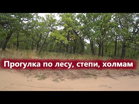 Видео: Прогулка по лесу, холмам, степи, возвышенностям.