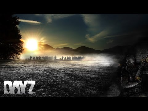 Видео: DAYZ погнали
