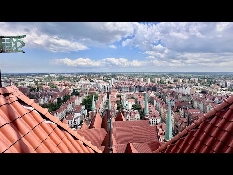 Видео: Я поехал из Берлина в Калининград через Гданьск… И вот что из этого вышло