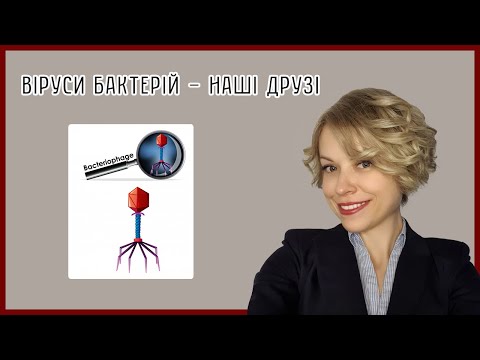 Видео: Бактеріофаги / Bacteriophages