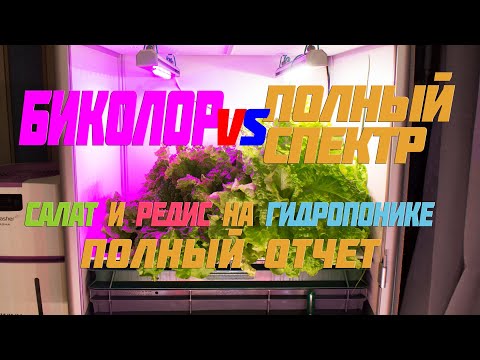 Видео: Биколор или полный спектр, фотоморфогенез в действии. Салат и редис на гидропонике, полный отчет.