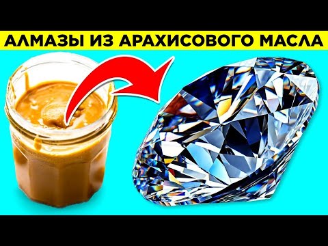 Видео: Правдивые Факты, Которые Кажутся Ложью