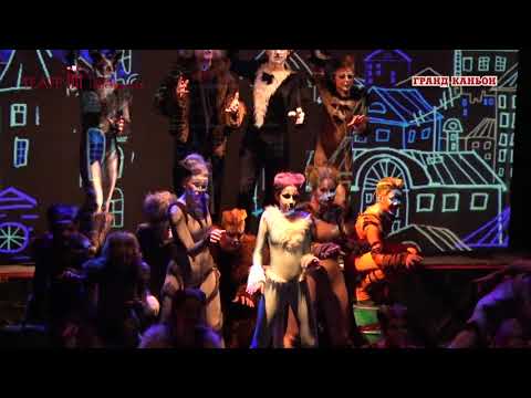 Видео: Мюзикл "Кошки" с участием Евдокии Малевской (2016 год)