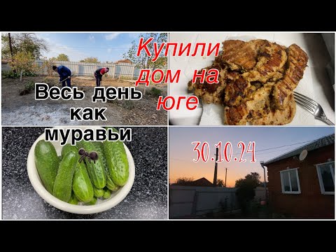 Видео: 387ч🏡-30.10.24-Ремонт/Прл сломал и сделал/Пересадили инжир и жимолость