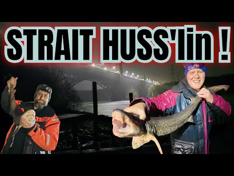 Видео: МОНСТРЫ МЕНАЙ ‼️ Рыбалка в проливе Менай | Морская рыбалка в Великобритании