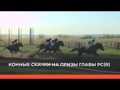 Видео: «Туймаада Ыһыаҕа - 2023»: Конные скачки на призы Главы РС(Я)
