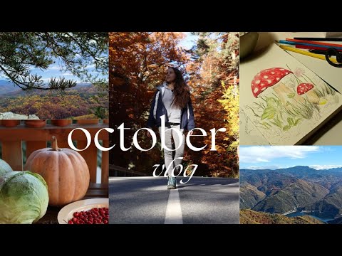 Видео: Есенна магия в Родопите и лесен десерт с тиква