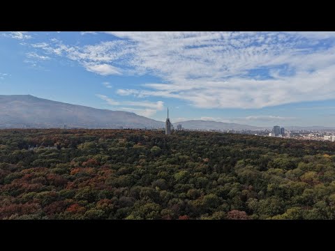 Видео: Есен в Борисовата градина 🍂 4K