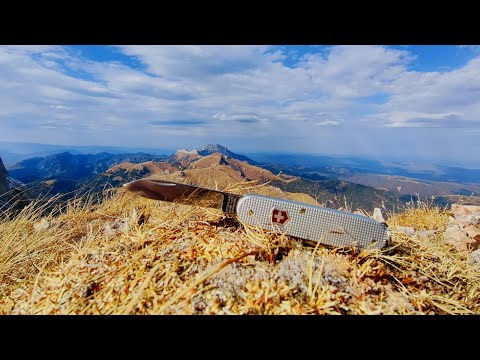 Видео: Лучший нож Victorinox Alox