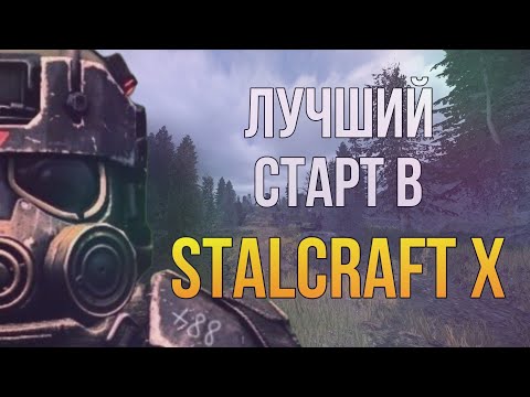 Видео: Как ПРАВИЛЬНО РАЗВИВАТЬСЯ НОВИЧКУ В Сталкрафт? Гайд на прокачку для новичка  || STALCRAFT X
