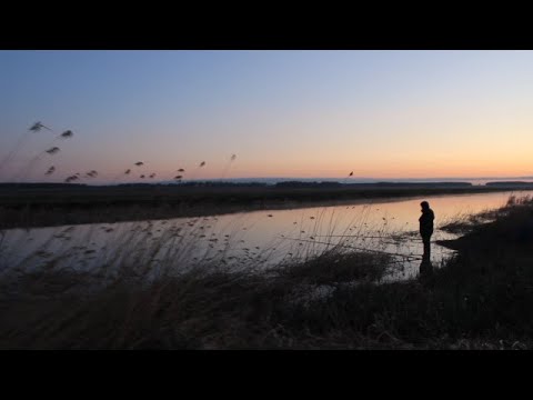 Видео: Рыбалка на Оше.  Первый выезд в 2020 году на открытую воду