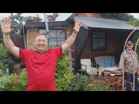 Видео: Яблочный Спас 🍎 собираем яблоки🍏 у дяди Леши 🍇