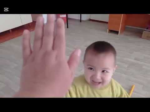 Видео: 6 февраля 2025 г.