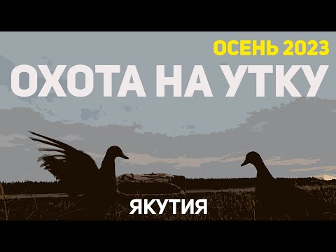 Видео: ОХОТА НА УТКУ ПОЗДНЕЙ ОСЕНЬЮ в ЯКУТИИ 2023. Чубарые подсадные утки