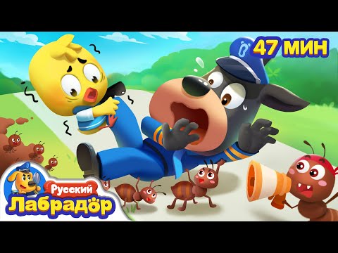 Видео: 🐜С муравьями шутки плохи｜Безопасность на открытом воздухе｜Сборник мультиков для детей｜Шериф Лабрадор
