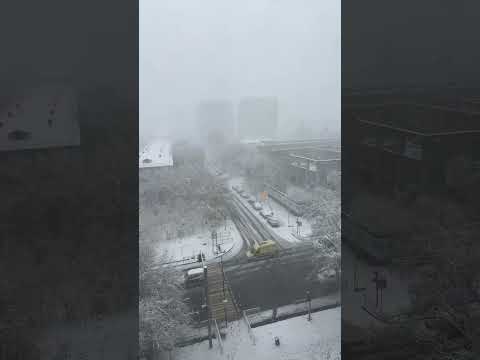 Видео: Осенний снегопад в прямом эфире!