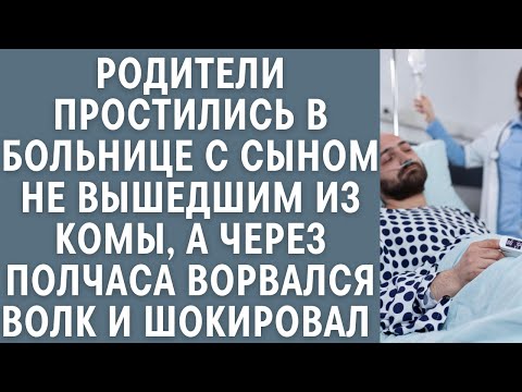 Видео: Родители простились с сыном, не вышедшим из комы, а через полчаса ворвался волк и шокировал больницу