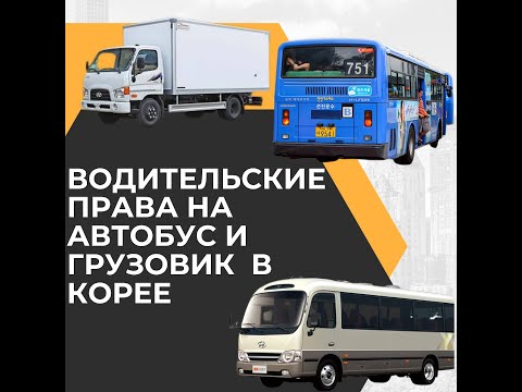 Видео: КАК ВОДИТЬ АВТОБУС В КОРЕЕ #водительскиеправа #южнаякорея #жизньвкорее #корея #снг #экспаты