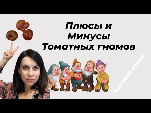 Видео: ТОМАТЫ ГНОМЫ. Стоит ли выращивать?Покажу, что выросло у меня. Я в шоке от китайских сортов!! 