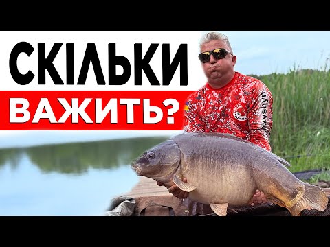 Видео: ШОК на воді! Коропи - КОНІ порвали три підсаки! Коропа 16+ навіть не важили. Ляща побороли!