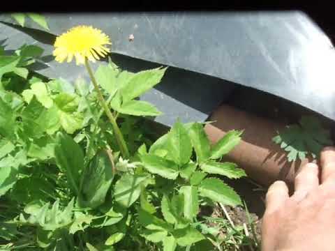 Видео: самодельная  фреза обзор ремонт