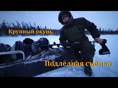 Видео: Вот это лапти подо льдом. Нервы сдают. Крупный окунь на таёжном озере.