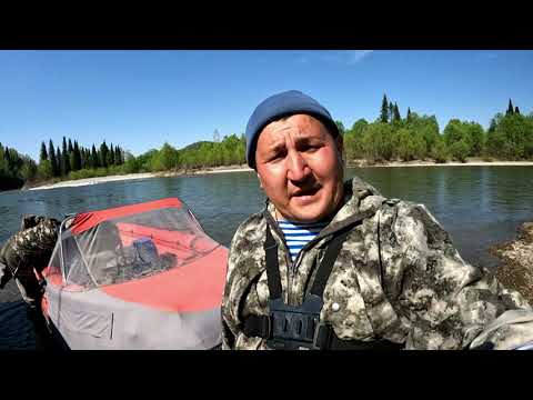Видео: Первая рыбалка на хариуса после нерестового запрета на Алтае
