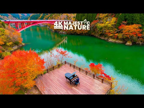 Видео: 🎶 Успокаивающие звуки фортепиано и природы 🌼✨ – Нежные мелодии для глубокого расслабления 🌸 Исцел