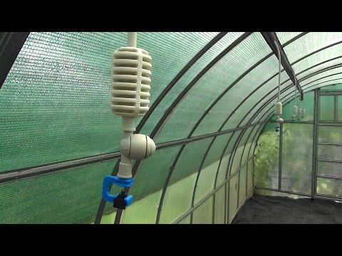 Видео: Туманообразующая установка в теплице.