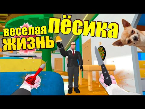 Видео: Я ВЕСЕЛЫЙ ПЕС - Dog Plan