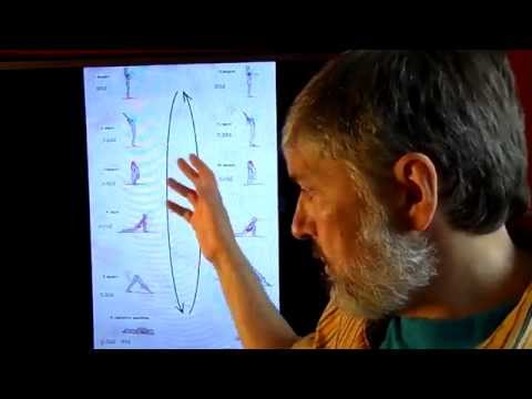 Видео: Сурья Намаскар. 3. Этапы (вехи) в медитативном продвижении.