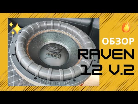 Видео: Обзор сабвуфера от DL Audio - Raven 12 v.2
