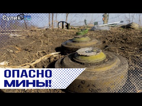 Видео: СПЕЦВЫПУСК: Гуманитарное разминирование