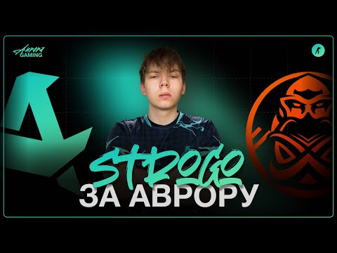 Видео: ПЕРВАЯ ОФИЦИАЛКА СТРОГО В АВРОРЕ. ТИМСПИК