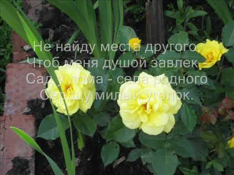 Видео: село Сажино