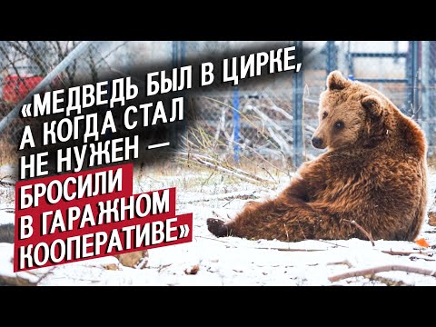 Видео: Спасает медведей: Марина | (Не)маленький человек