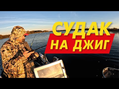 Видео: Рыбалка на Волхове: судак на джиг!