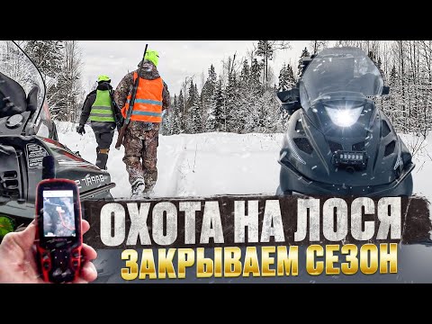Видео: ОХОТА НА ЛОСЯ 2025 // ЗАКРЫВАЕМ СЕЗОН // СНЕГОХОДЫ В ДЕЛЕ