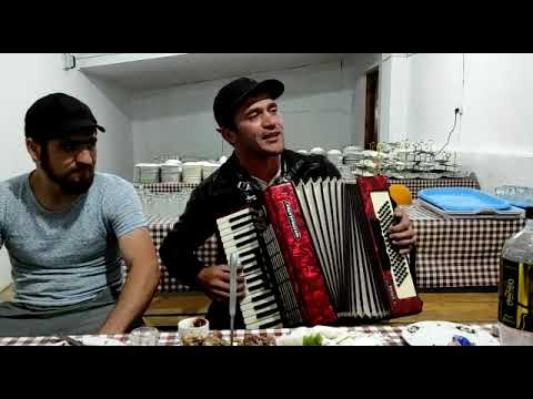 Видео: Аварская песня на аккордеоне Насир Джалилов