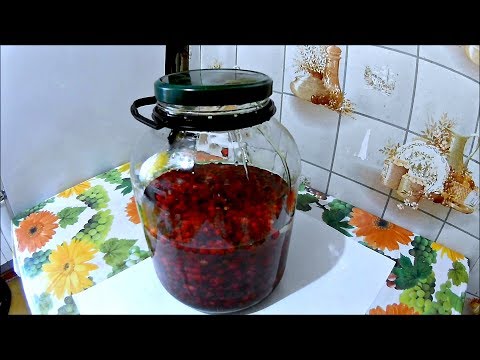 Видео: Настойка брусничная (Будни охотника и рыбака)