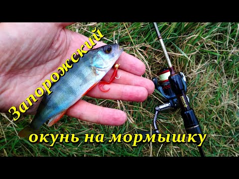 Видео: Осенняя мормышка на бюджетный спиннинг 0.3-2.5g! Озеро отстойник Запорожстали - микро окунь атакует!