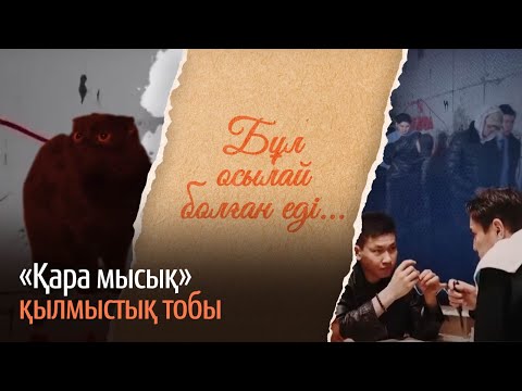 Видео: «Қара мысық» қылмыстық тобы. «Бұл осылай болған еді» деректі фильмі