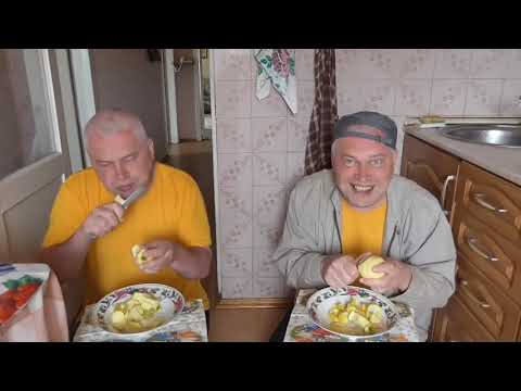 Видео: Братья кушают яблоки 1 час