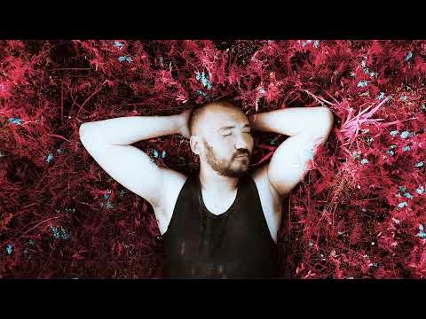 Видео: БРАНИМИР - Шофёр