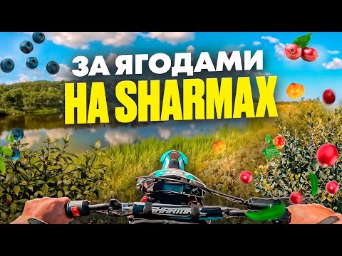 Видео: за ягодами на Sharmax 190